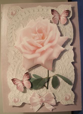 Pink Rose on Ecru Lace with Butterflies by Shirli Walker