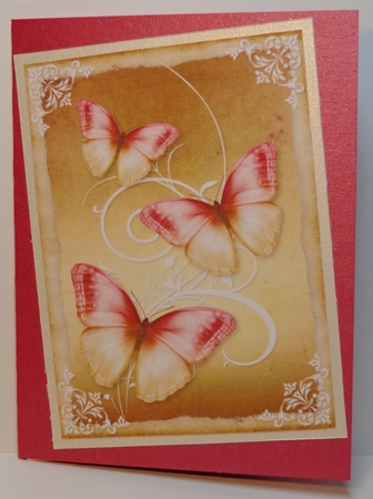 Butterflies 16 by Shonni Moore