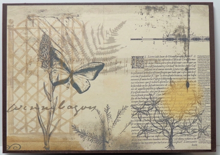 Vintage Butterfly Background Medley by Shonni Moore