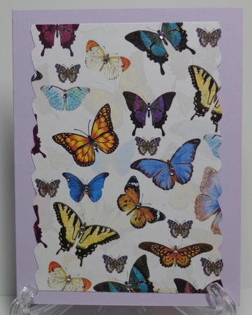 Butterflies Background A4 by Shonni Moore