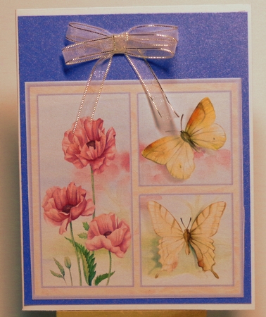 Poppy and butterfly 6x6  by Shonni Moore