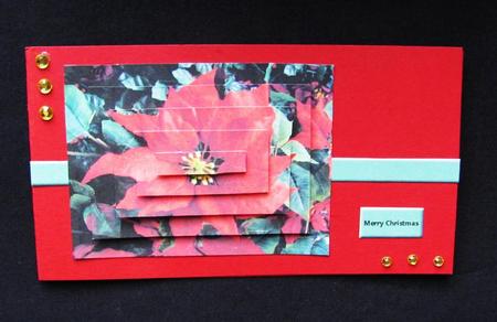 Red Poinsettia Pyramid by Silvia Griffin
