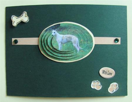 Italian Greyhound - Whippet by Silvia Griffin