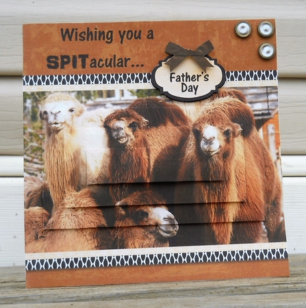 Camel SPITacular Fathers Day - Birthday - Retirement Mini Kit by Sonja Nelson