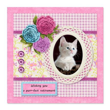 Kitten Cat Birthday, Retirement, Thank You, Get Well by Sonja Nelson