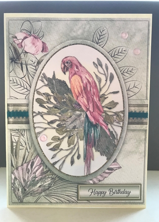 Tropical Birds Kit-1 by Stefanie Mohrmann