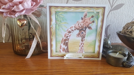 Mom and Baby Giraffe  Featured Gallery Photo