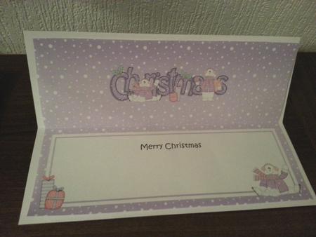 Large Dl Christmas Snowmen Insert by Stella Reynolds