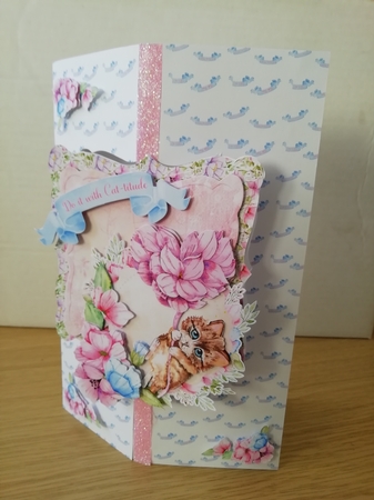 The Cats Whiskers 6x6 Cards by Stephanie Bardelli
