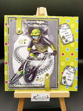 Carnival Crew Coordinating Digital Paper Pack by Stephanie Bardelli