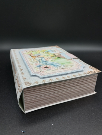 Dear Emily - 3D Curiosity Book Box by Stephanie Bardelli
