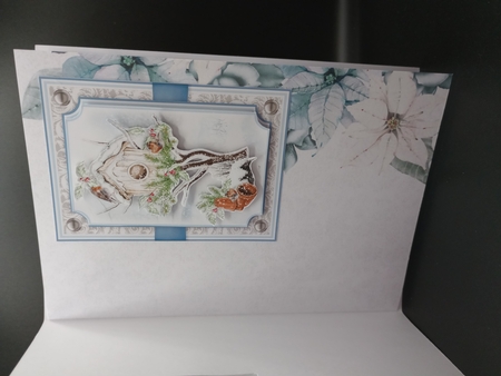Winter Bird House 7x5 Mini Kit 2 by Stephanie Bardelli