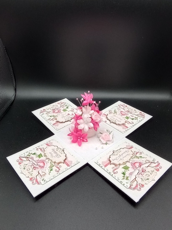 For the Love of My Cat Exploding Box Surprise by Stephanie Bardelli