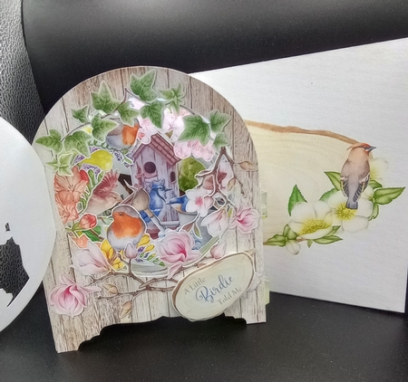 My Little Bird Garden Behind the Door Tunnel Card by Stephanie Bardelli