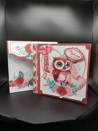 Hoot, Hoot! You are Cute Storybook Tunnel Card by Stephanie Bardelli