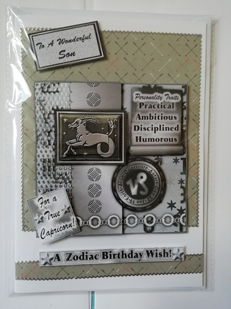Signs of the Zodiac - Capricorn Dec 22 - Jan 19 by Stephanie Bardelli