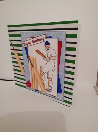 Anyone for Cricket by Stephanie Bardelli