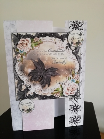 Beautiful Like a Butterfly by Stephanie Bardelli