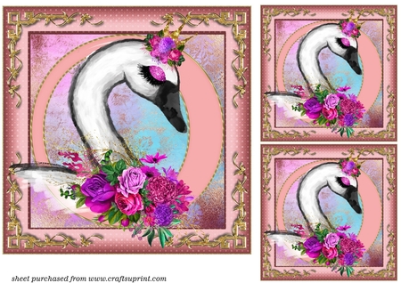 Succulants Bright Frames 4 by Creative Crafts