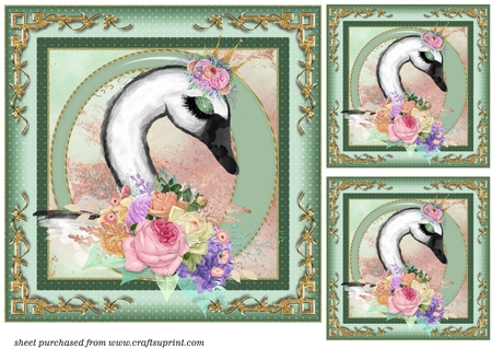 Succulants Bright Frames 4 by Creative Crafts