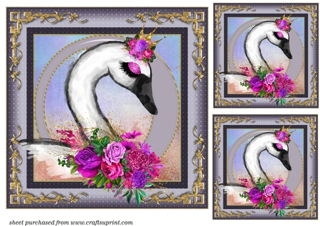 Succulants Bright Frames 4 by Creative Crafts