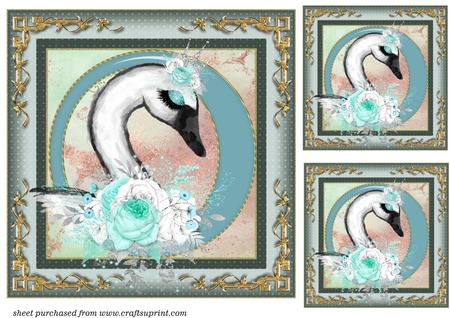 Succulants Bright Frames 4 by Creative Crafts