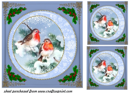 Snowflake Frames-Christmas Time by Creative Crafts