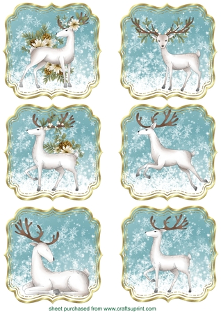Succulants Bright Mats 5 by Creative Crafts