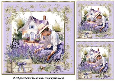 Rose Frames & Butterflies-Candy Floss by Creative Crafts