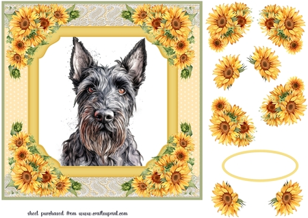 Dotty Lace Background Kit  by Creative Crafts