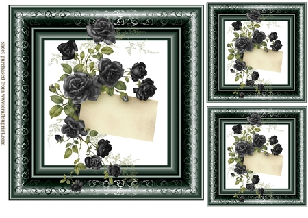 20 Succulants Bright Frames by Creative Crafts