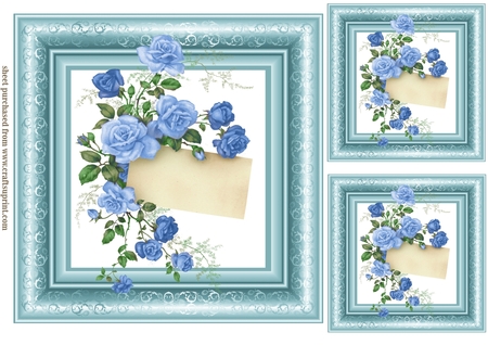 20 Succulants Bright Frames by Creative Crafts