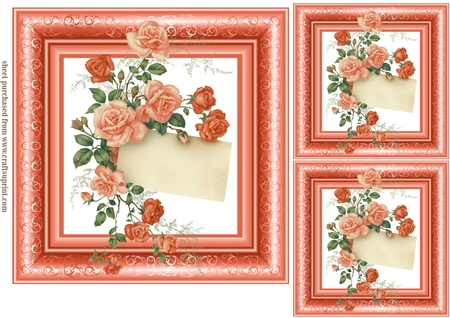 20 Succulants Bright Frames by Creative Crafts
