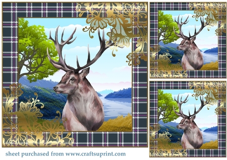 Christmas Tartan 12 x with Gold Filigree Frames Kit  by Creative Crafts