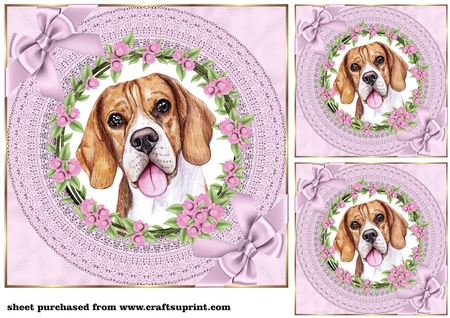 Pattern Lace Frames & Bows-Candy Floss by Creative Crafts