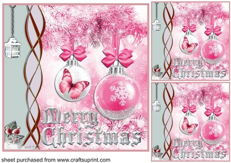 Frosted Berries Borders by Creative Crafts