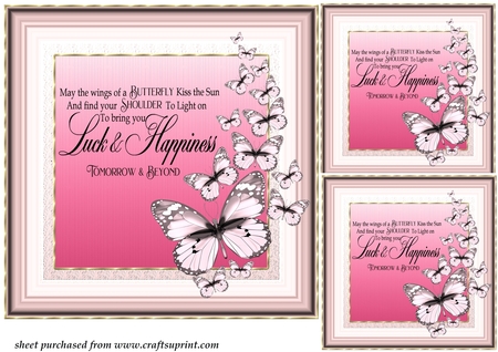 Flutterbys Frame Sets-Candy floss by Creative Crafts