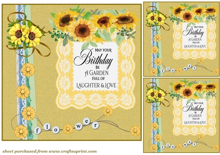Lace Doilies Set 1 - Sherbert Color Palette by Creative Crafts