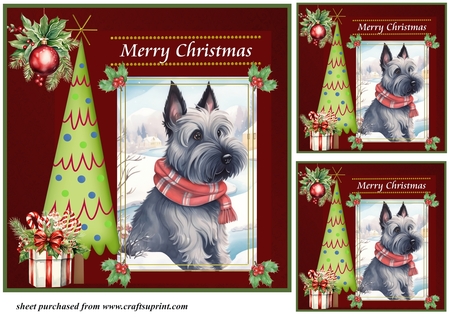 Merry Christmas Inserts\Frames by Creative Crafts