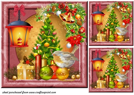 Rose Frames-Succulants Bright by Creative Crafts