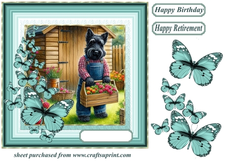 Flutterby Frame Set-Romantic by Creative Crafts
