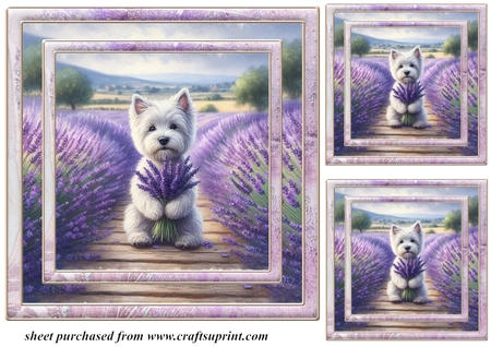 Vintage Pastel frames five  by Creative Crafts