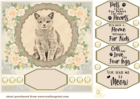 Lace Pattern Background Kit  by Creative Crafts