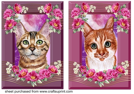 22 Outback Sunset A5 Frames by Creative Crafts