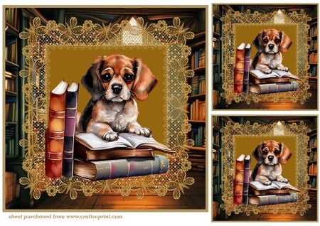 View of a Librairy BG by Creative Crafts