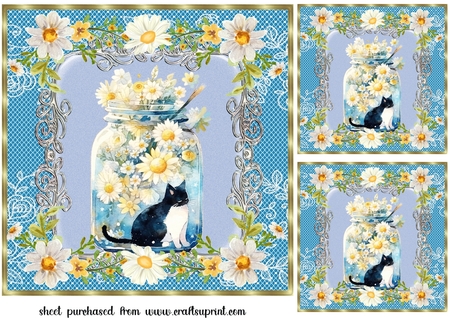 White Lace with Roses Backgrounds-Tranquil Days by Creative Crafts
