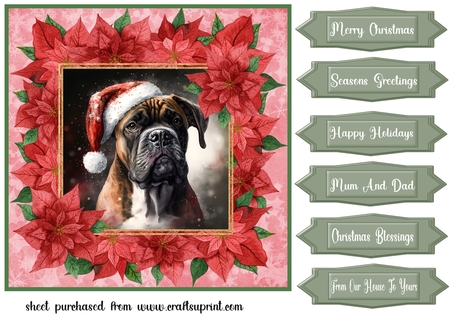 Christmas Holly  Background Kit  by Creative Crafts