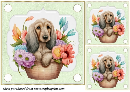 Raised Up Glassy Mat Backgrounds-Candy Floss by Creative Crafts