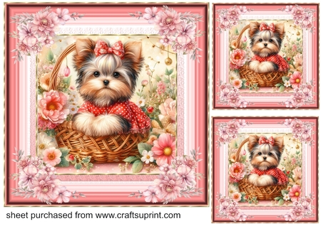 Pretty dress Yorkie Pup by Creative Crafts