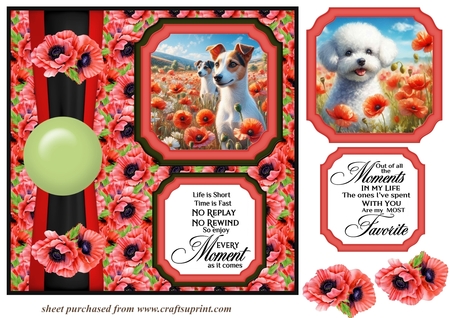 Poppy Field Mix 1 by Creative Crafts